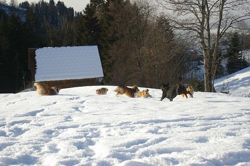 Fotos f. Homepage Galerie 050